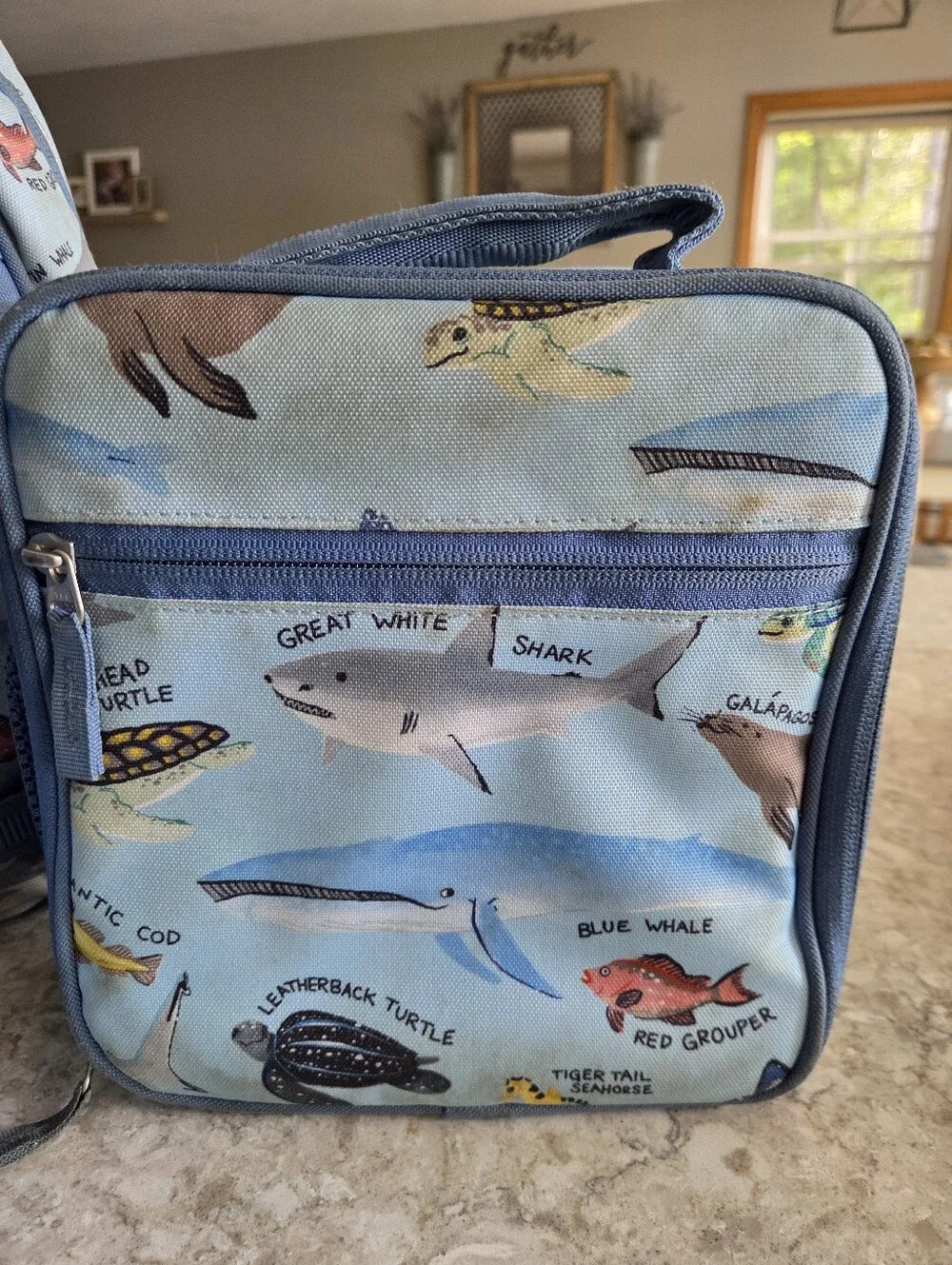 Pottery Barn Kids Shark & Sea Creatures Blue Backpack + Lunchbox Set
